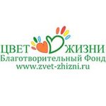 Цвет жизни