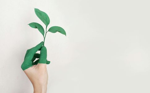 Перезагрузка бренда: зачем и как проводить ребрендинг